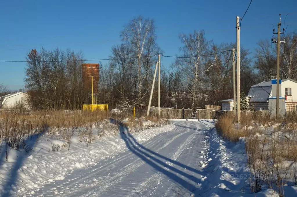 Участок в Пензенская область, с. Бессоновка проезд 3-й Российский ... - Фото 1