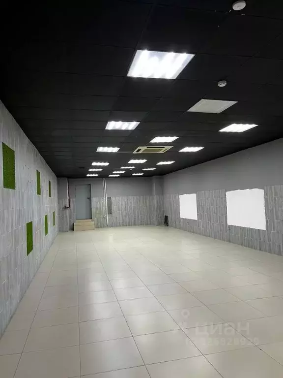 Торговая площадь в Хабаровский край, Хабаровск ул. Шелеста, 69 (40 м) - Фото 1