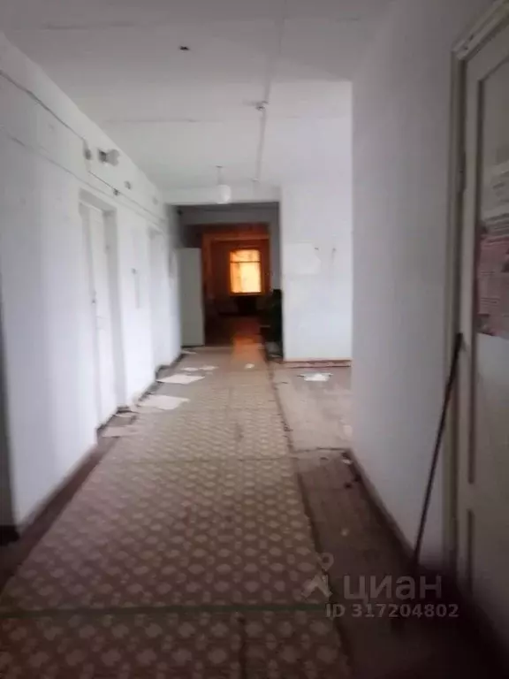 Помещение свободного назначения в Курганская область, Шатровский ... - Фото 1