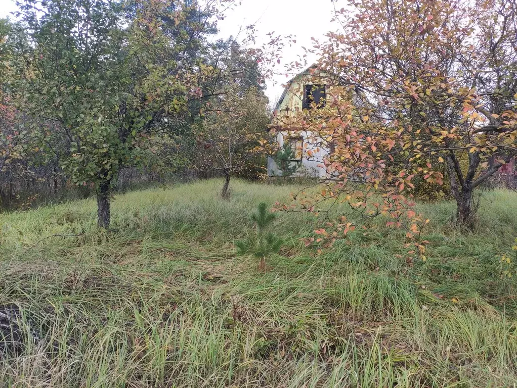 Дом в Воронежская область, Рамонский район, Новоживотинновское с/пос, ... - Фото 2