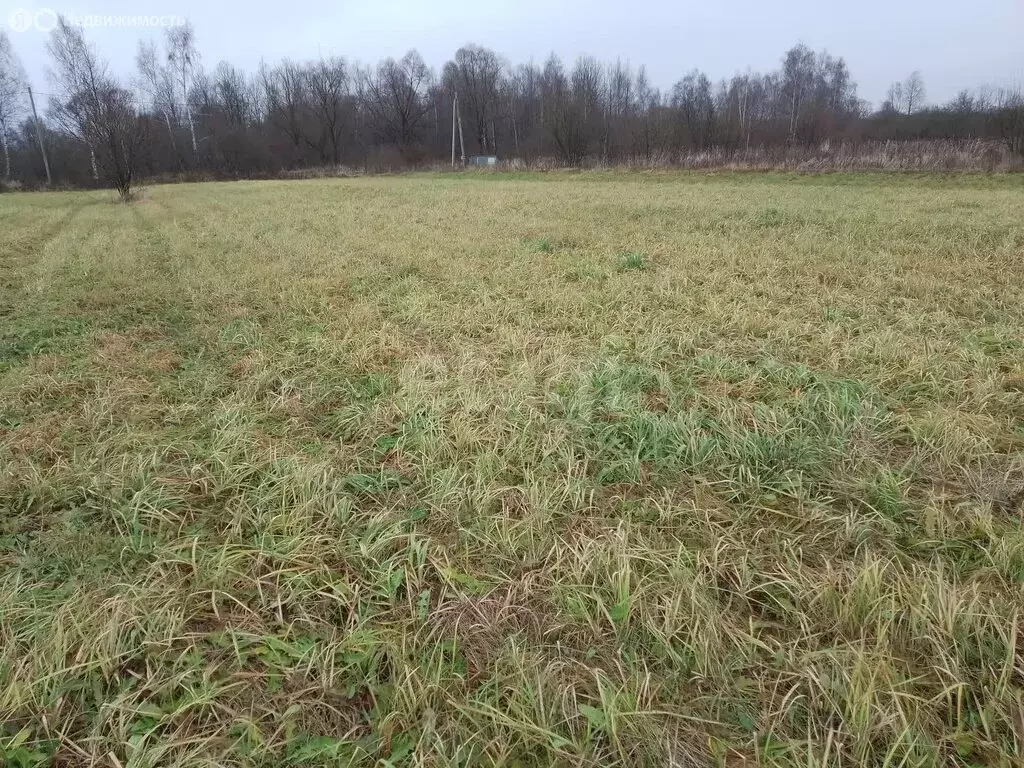 Участок в Макарово, село Макарово (30 м) - Фото 1