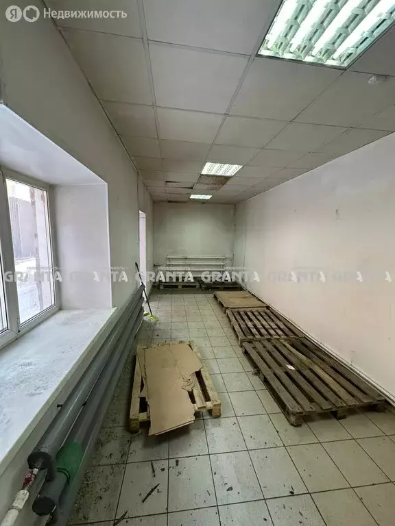 Помещение свободного назначения (21 м) - Фото 1