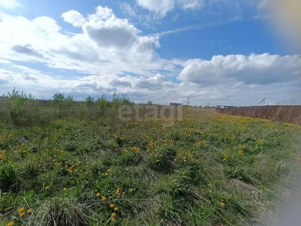 Участок в Смоленская область, Смоленский муниципальный округ, д. ... - Фото 2