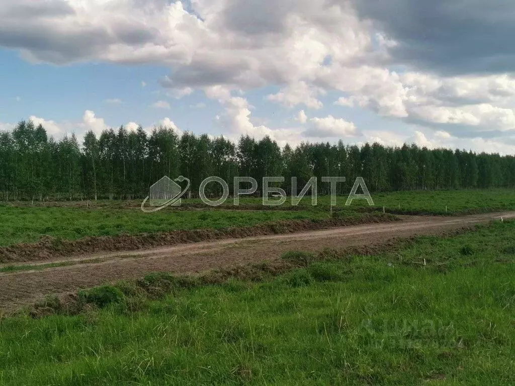 Участок в Тюменская область, Тюменский район, д. Чаплык  (10.0 сот.) - Фото 2