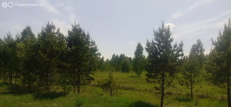 Участок в Баюновские Ключи, Солнечная улица, 8 (9 м) - Фото 1