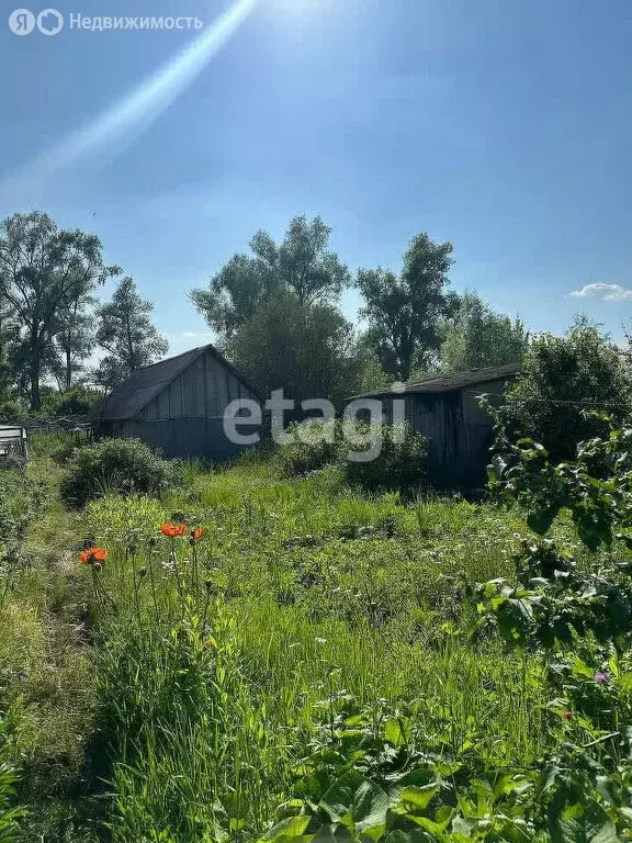 Участок в Кугарчинский район, Мраковский сельсовет, село Мраково (19.6 ... - Фото 1