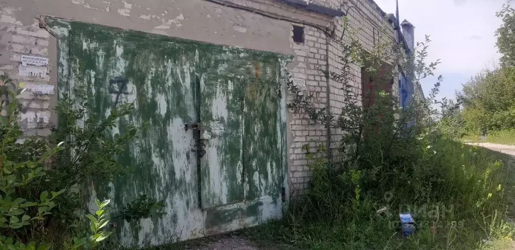 Гараж в Саратовская область, Саратов ул. Лесная республика (22 м) - Фото 1