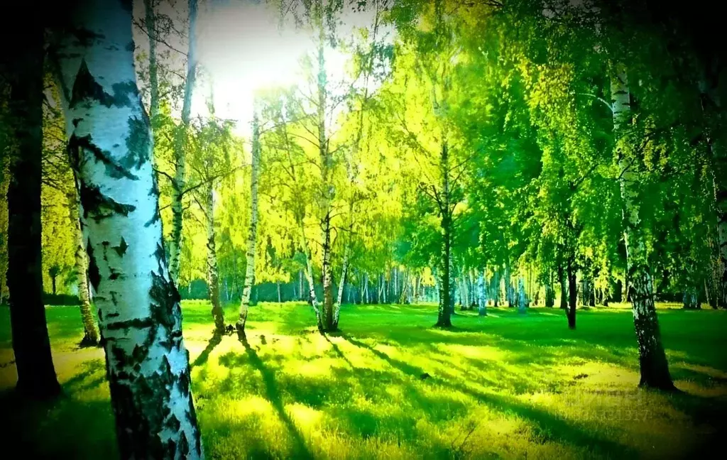 Дом в Московская область, Подольск городской округ, д. Северово 36 ... - Фото 1