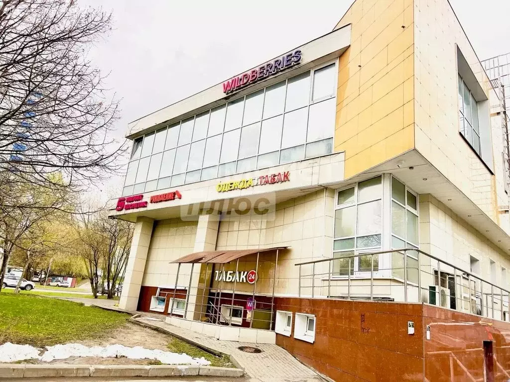 Помещение свободного назначения (249 м) - Фото 2