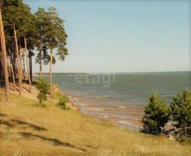 Участок в Новосибирская область, Ордынское рп, Рябинка СНТ  (6.0 сот.) - Фото 1
