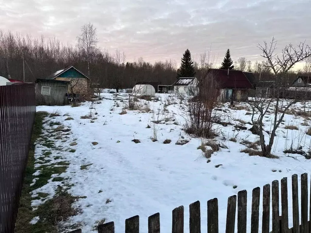 Участок в Ленинградская область, Киришский район, Кусинское с/пос, ... - Фото 1