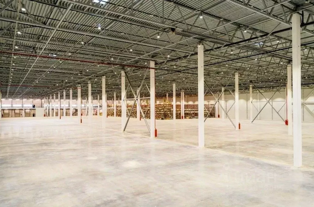 Склад в Санкт-Петербург пос. Парголово, Подгорная ул., 61 (9001 м) - Фото 2