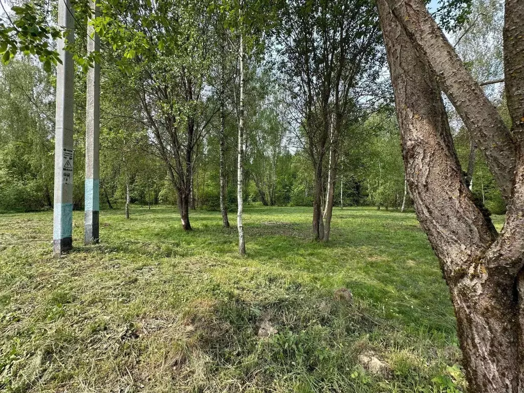 Участок, 7 сот., поселения (ижс) - Фото 0