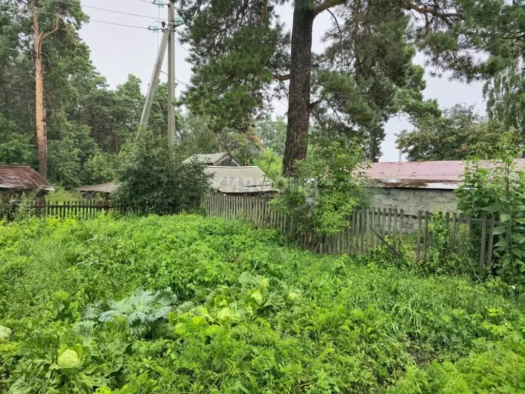 Дом в Новосибирская область, Ордынское рп ул. Водостроевская (61 м) - Фото 1