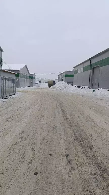 Помещение свободного назначения в Московская область, Домодедово ... - Фото 0