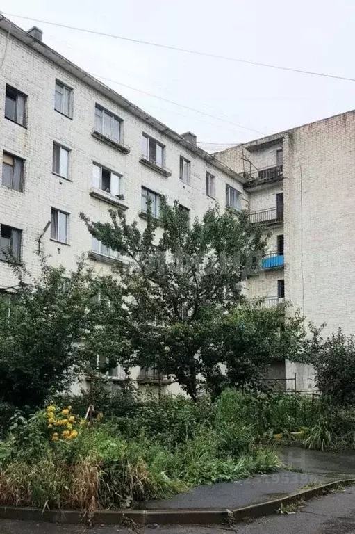 1-к кв. Орловская область, Орел ул. Генерала Жадова, 23 (21.0 м) - Фото 1