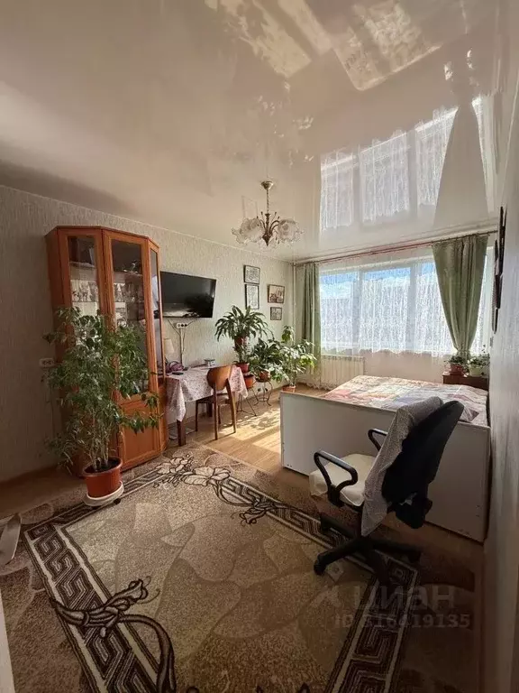 1-к кв. Санкт-Петербург ул. Стойкости, 41К1 (30.4 м) - Фото 0