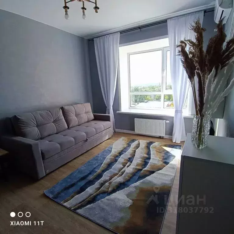 1-к кв. Воронежская область, Павловск ул. Свободы, 25 (50.0 м) - Фото 0
