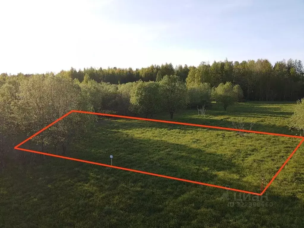 Участок в Ленинградская область, Всеволожский район, Куйвозовское ... - Фото 2