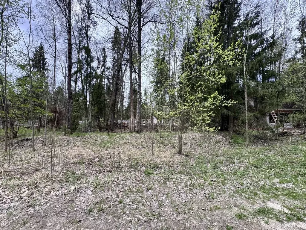 Участок в Московская область, Пушкинский городской округ, д. Могильцы, ... - Фото 2