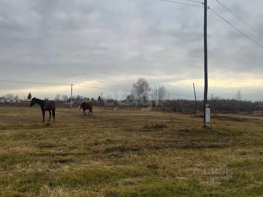 Участок в Тюменская область, Ялуторовский муниципальный округ, с. ... - Фото 1