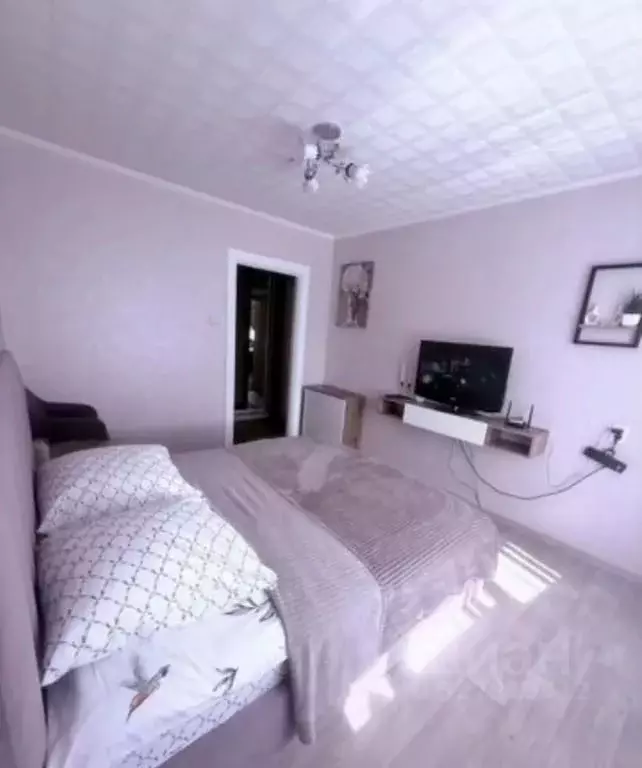 1-к кв. Псковская область, Псков Народная ул., 57 (29.0 м) - Фото 2