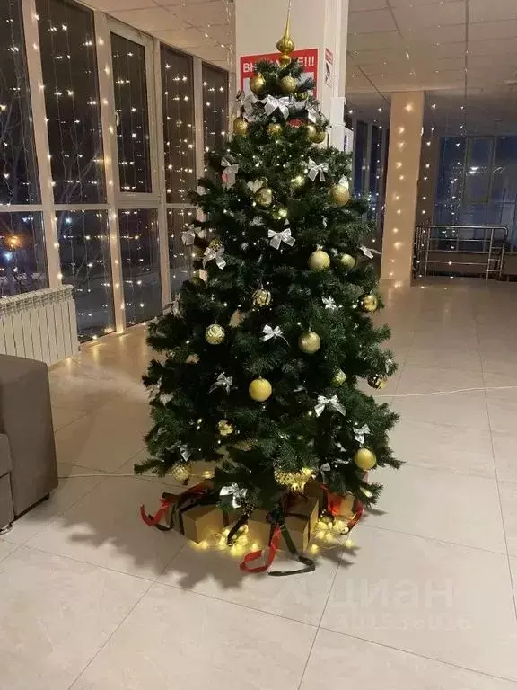 Студия Чеченская республика, Грозный Петропавловское ш., 10Б (45.0 м) - Фото 2