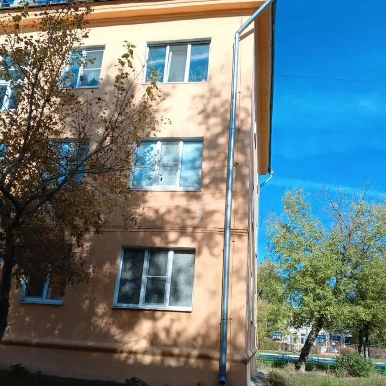 1-к кв. Нижегородская область, Дзержинск ул. Чапаева, 49 (30.4 м) - Фото 1