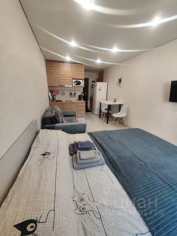 Студия Татарстан, Казань ул. Нурсултана Назарбаева, 56 (20.0 м) - Фото 1