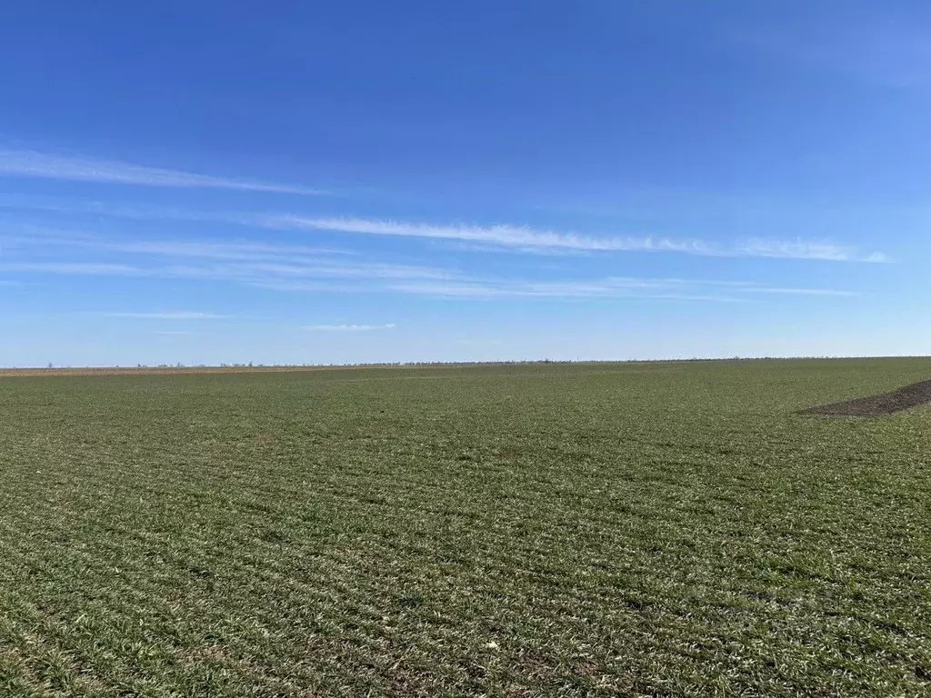 Участок в Крым, Сакский район, Штормовское с/пос, с. Хуторок  (1255.24 ... - Фото 1