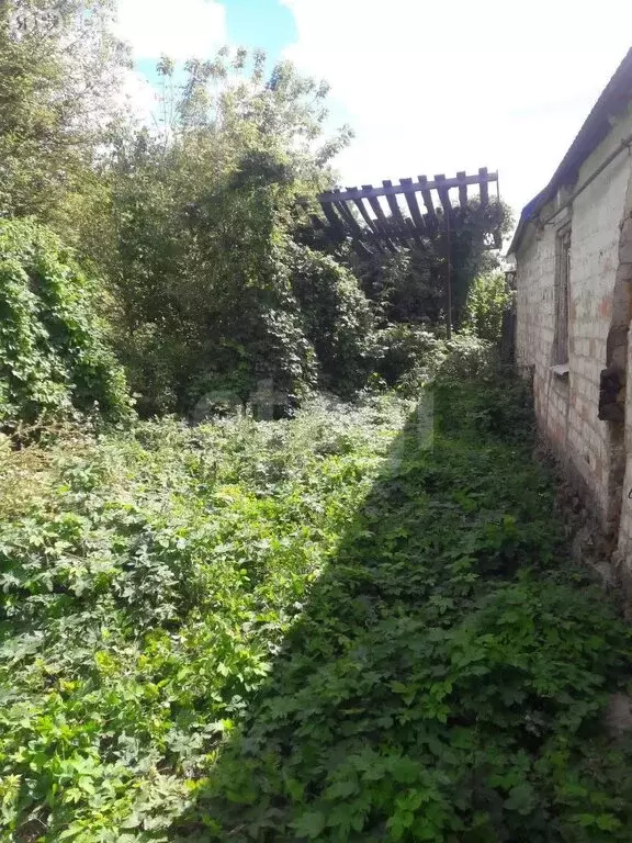 Дом в Волоконовка, Центральный микрорайон (26.6 м) - Фото 2