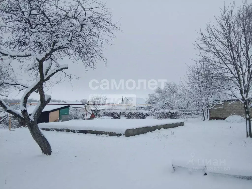 Участок в Пензенская область, Мокшанский район, с. Нечаевка Молодежная ... - Фото 0