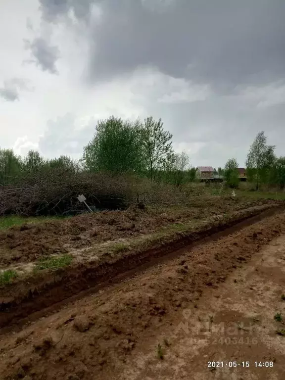 Участок в Владимирская область, Александровский район, Андреевское ... - Фото 1