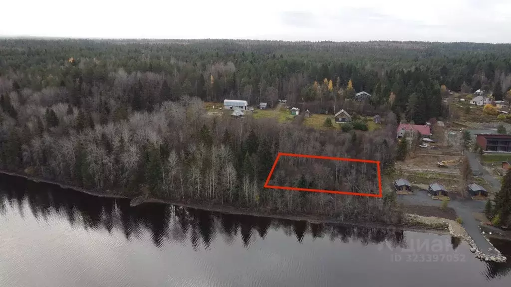 Участок в Карелия, Пряжинский район, Эссойльское с/пос, д. Сямозеро, ... - Фото 2