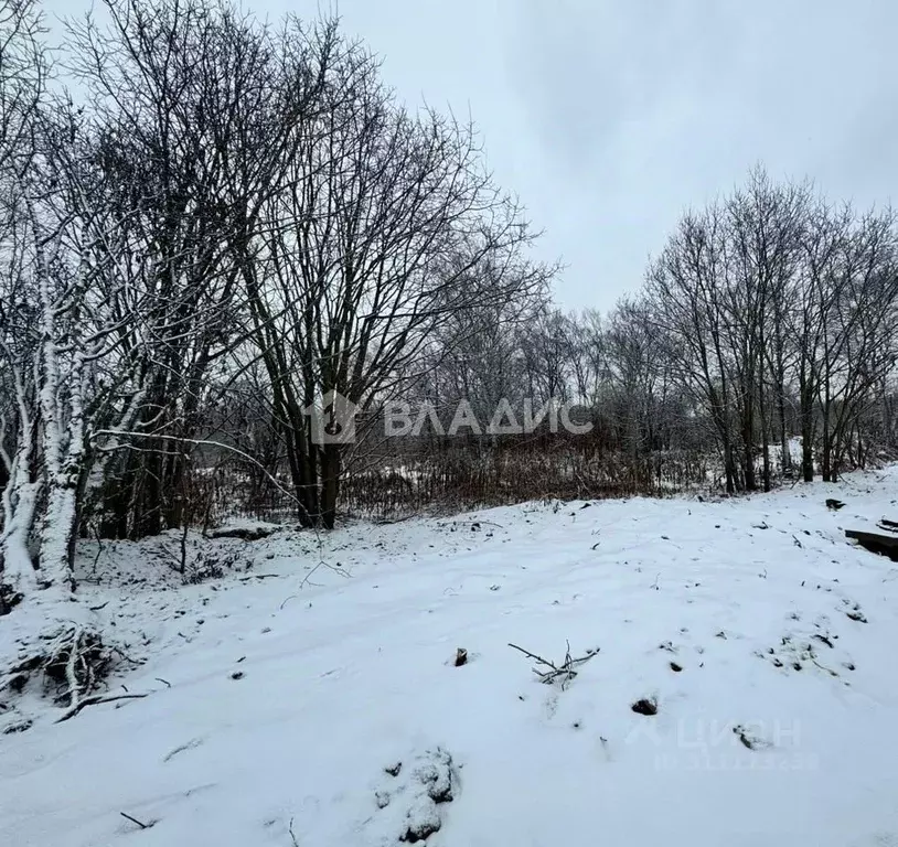 Участок в Сахалинская область, Долинский городской округ, с. Сокол  ... - Фото 0