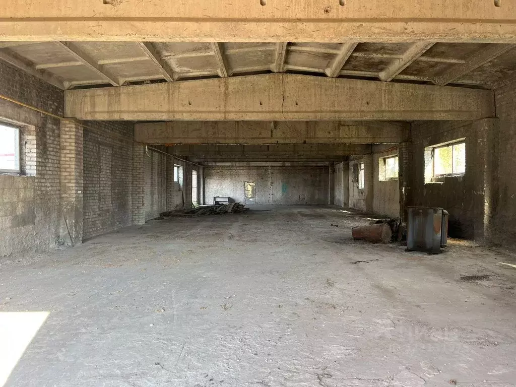 Производственное помещение в Брянская область, Выгоничи рп ул. ... - Фото 1