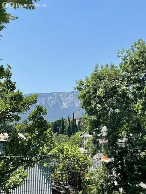 Участок в Ялта, улица Аверкина, 7А (5 м) - Фото 0