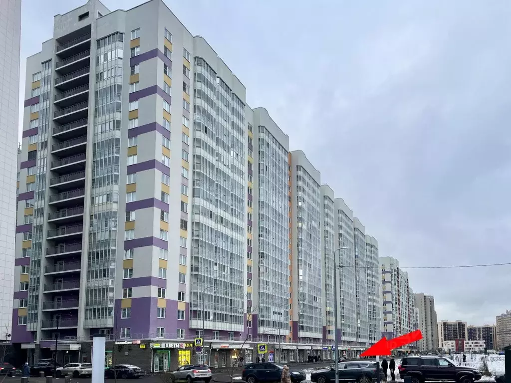 Помещение свободного назначения в Ленинградская область, Мурино ... - Фото 1