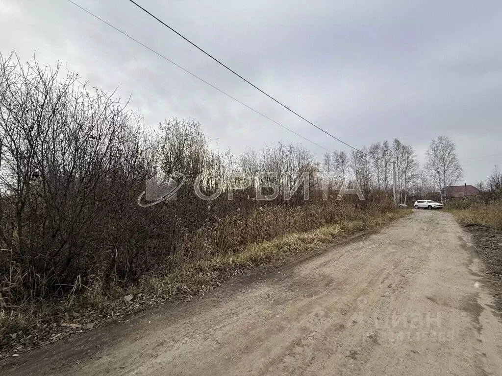 Участок в Тюменская область, Тюменский муниципальный округ, д. Большие ... - Фото 1