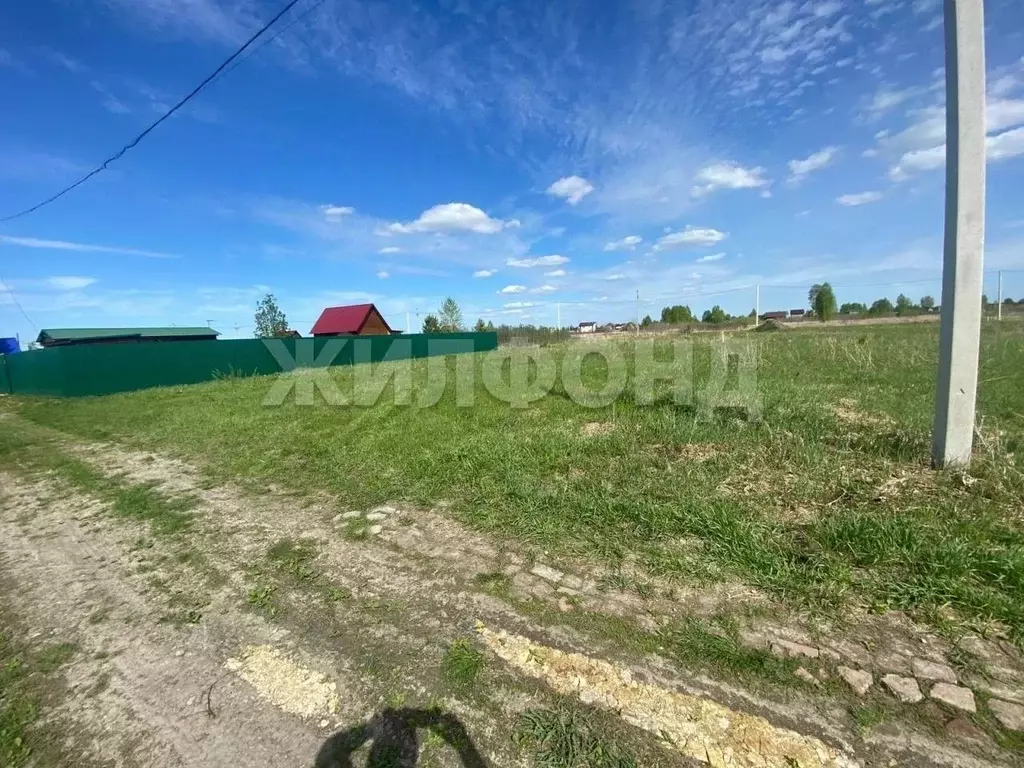 Участок в Новосибирская область, Коченевский район, Озерки-1 СНТ  ... - Фото 1