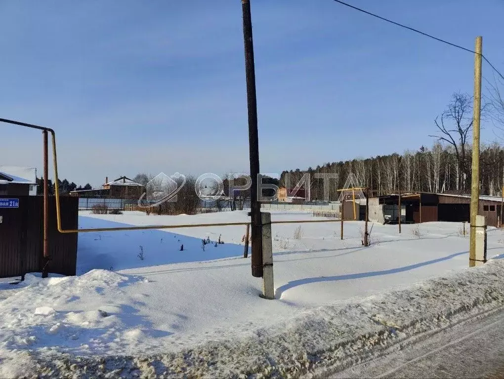 Участок в Тюменская область, Тюменский район, д. Дударева Боровая ул. ... - Фото 2