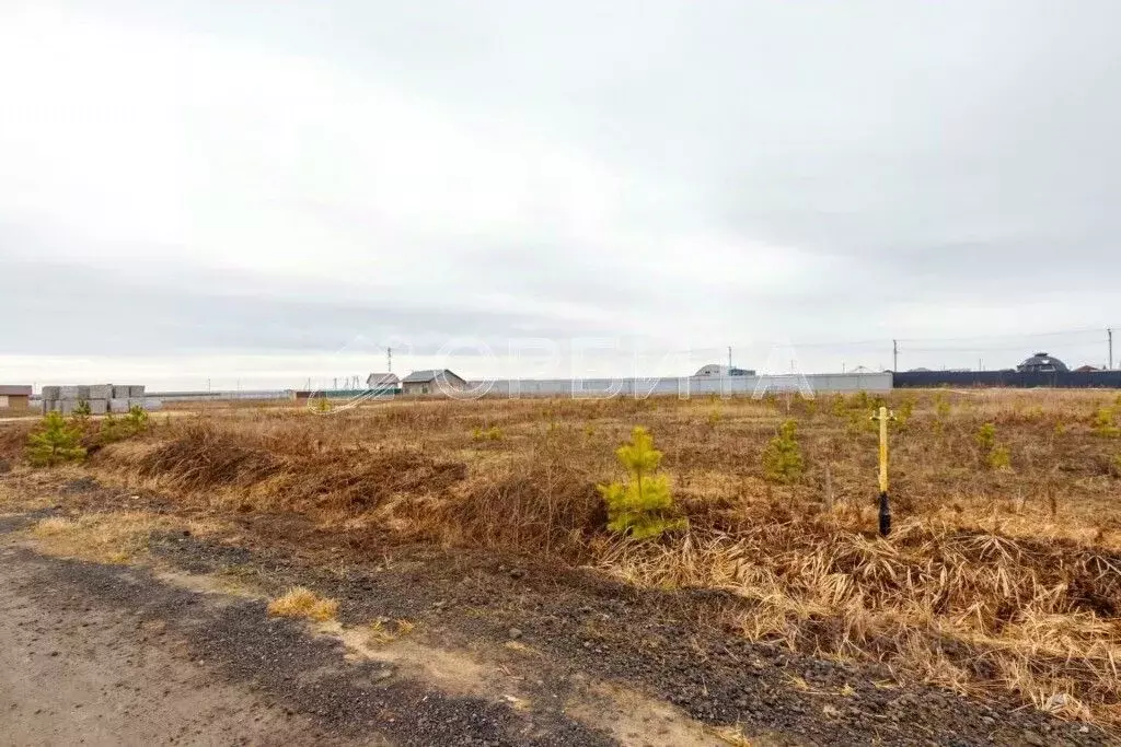 Участок в Тюменская область, Тюменский район, д. Елань  (15.7 сот.) - Фото 0