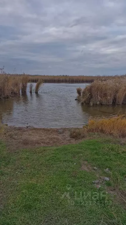 Участок в Ростовская область, Сальский район, Манычское с/пос, пос. ... - Фото 2