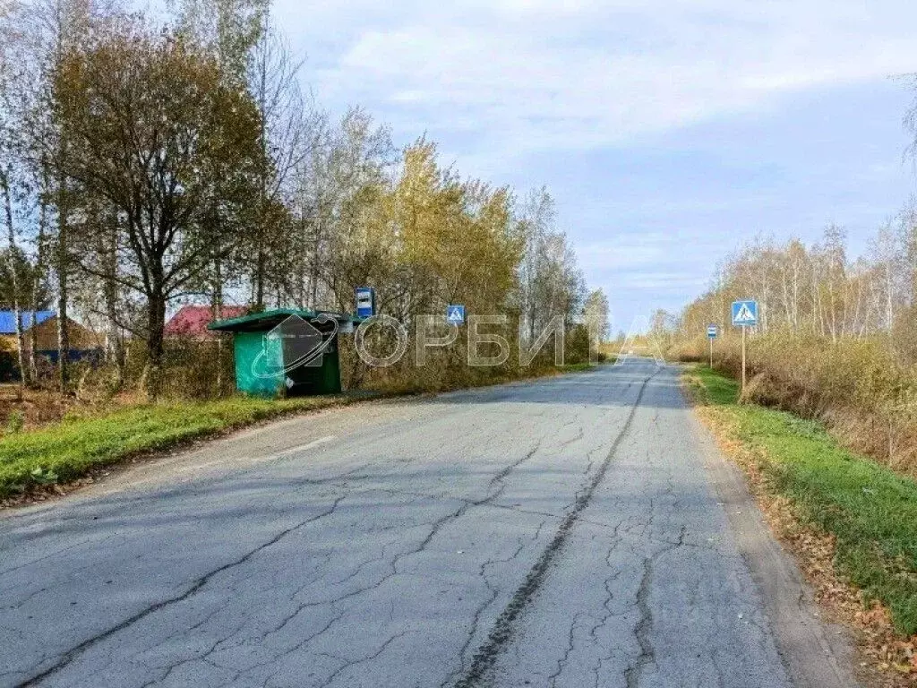 Участок в Тюменская область, Тюменский район, с. Салаирка  (7.3 сот.) - Фото 1