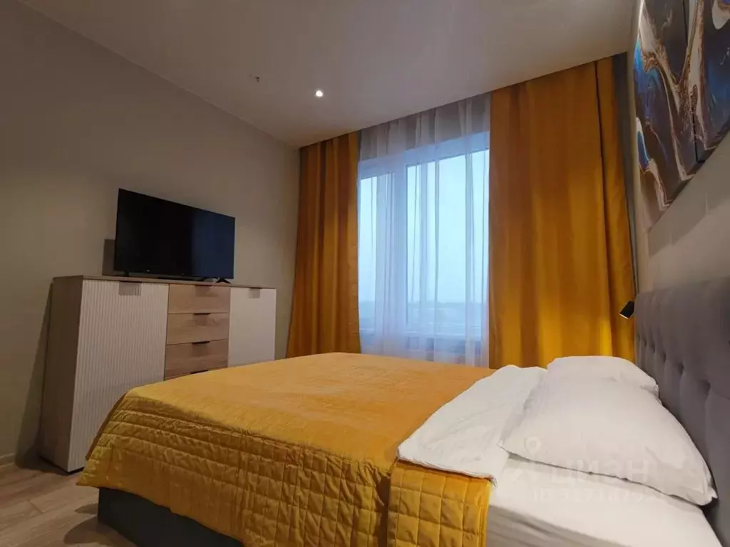 1-к кв. Санкт-Петербург просп. Энергетиков, 8к2 (24.0 м) - Фото 1