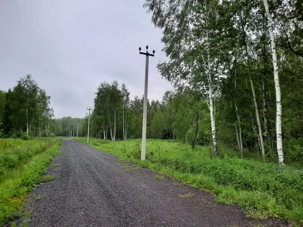 Участок в Московская область, Чехов муниципальный округ, пос. Любучаны ... - Фото 0