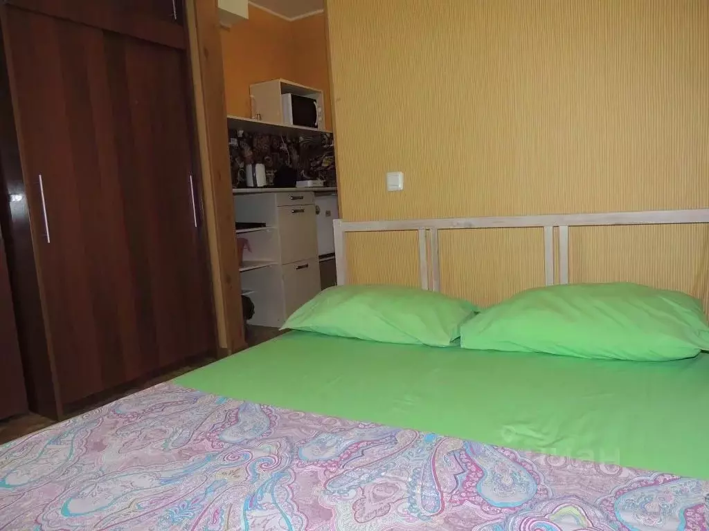 1-к кв. Томская область, Томск ул. Карпова, 23 (14.0 м) - Фото 2