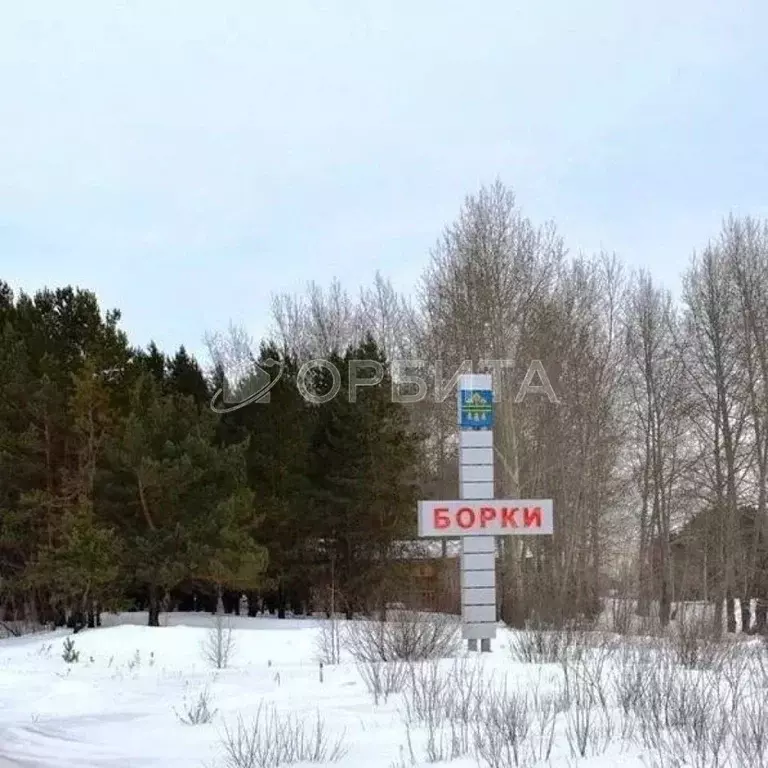 Участок в Тюменская область, Тюменский муниципальный округ, с. Борки  ... - Фото 2