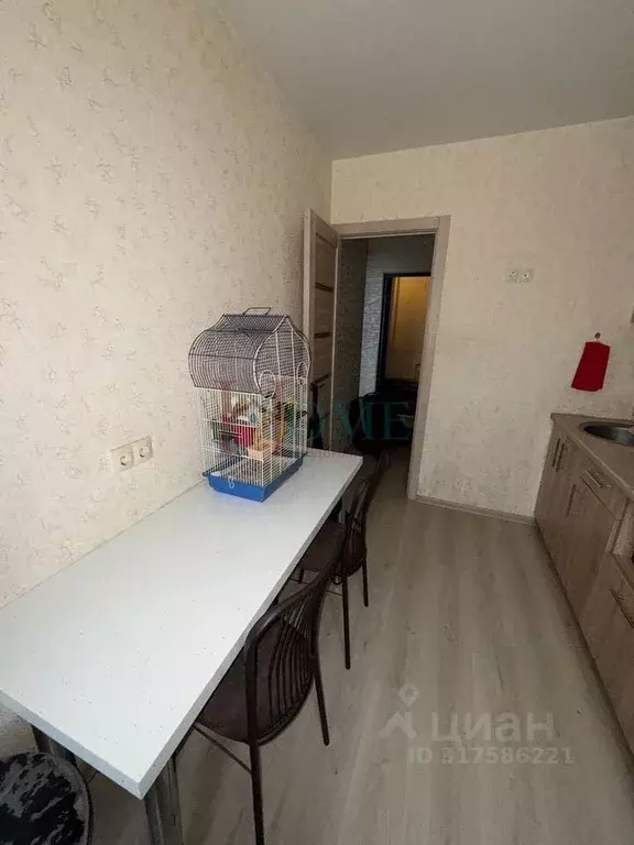 2-к кв. Новосибирская область, Новосибирск ул. Красина, 61/1 (40.0 м) - Фото 0