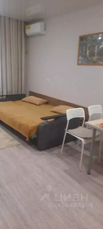 Студия Ростовская область, Ростов-на-Дону ул. Теряева, 9 (26.0 м) - Фото 1